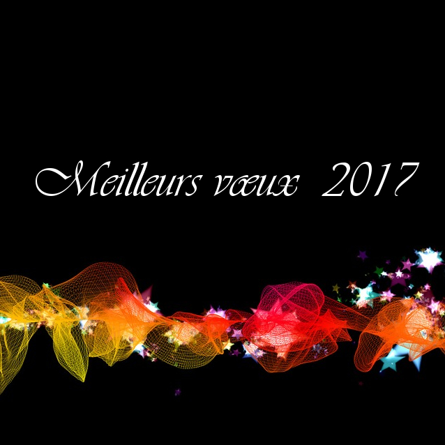 Meilleurs Vœux & Bonnes Fêtes